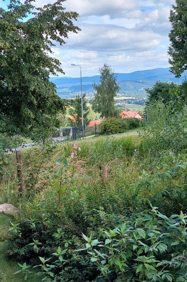 Pod Papugami 2 Karpatia Apartmán